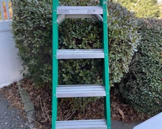 6 Werner Step Ladder