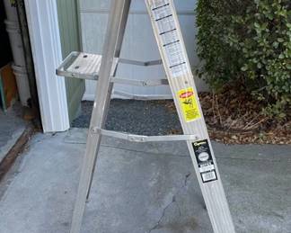 Commercial Type 2 Stepladder