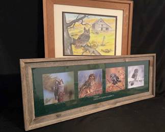 Owl Painting Photographs