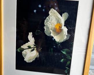 ORIGINAL FRAMED PHOTO ART.