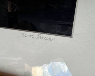 Carol Thrun original photographic art. Nicely matted & framed.