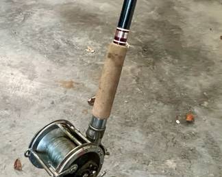 Fishing rod and reel