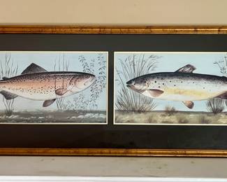 Framed fish print by D. Perotin