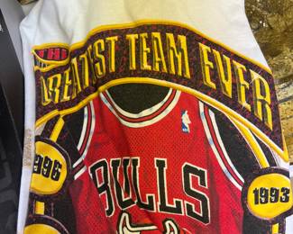 Vintage Bulls T-Shirts