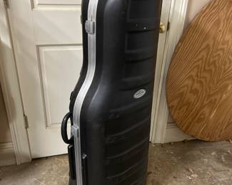 Travel Golf Case
