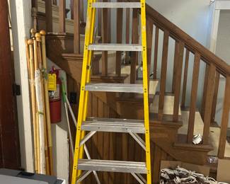 Werner Electro-Master 8' Ladder