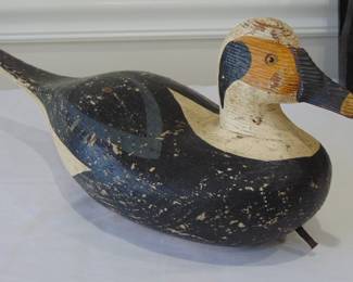 Long tail duck decoy.