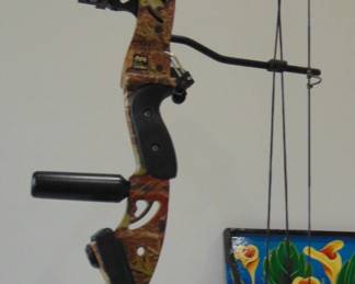 Compound bow and arrows (not shown).