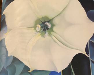 Georgia O Keefe Hundred Flowers Coffee Table Book