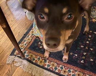 Zelda Wishing Everyone A HAPPY NEW YEAR!!