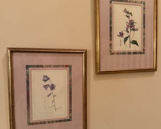 (2) Framed Botanical Prints