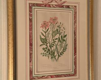 (3) Framed Botanical Prints