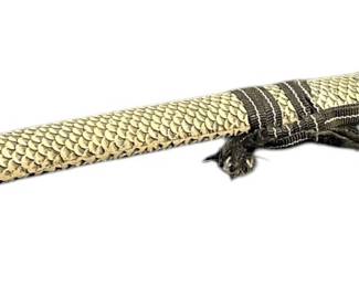 Sheathed Short Chinese Sword 