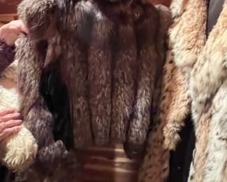back of silver fox coat