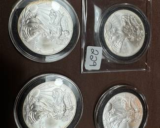 Silver eagle walking liberty coin