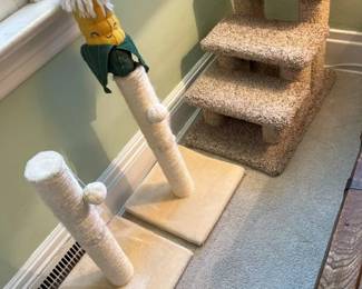 55 Pet Successoriesmin