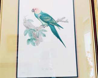 ONE OF 3 AUDOUBON FRAMED PRINTS