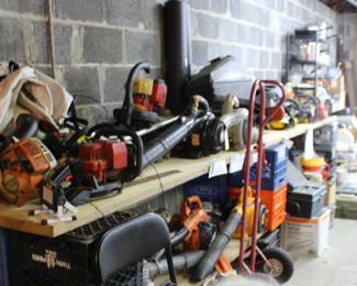 Chain saw and power tools, part of on line auction items
