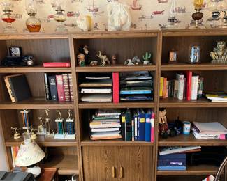 Bookshelves and Cabinet 