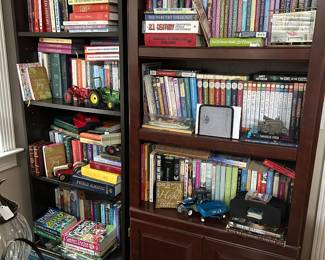 Two bookcases and books