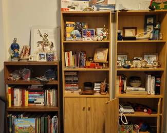 $20 - Saturday each Book case