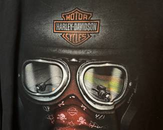 2017 Harley Davidson Graphic T-Shirt