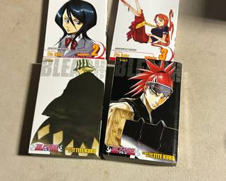 Bleach Graphic Novels