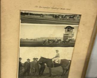 Classic Racehorse Picture