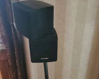 Bose Floor Speakers