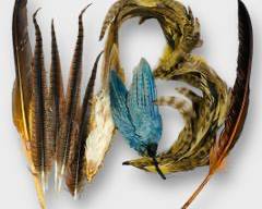 Exquisite ANTIQUE Arrangement Of Handpicked Feathers In Vibrant Hues, Perfect For Artistic Decor Or Craft Projects.

