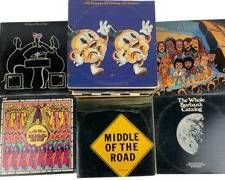 Great Vintage Vinyl Records! 1972 The Whole Burbank Catalog, All Singing-All Talking-All Rocking, I Didnt Know They Still Made Records Like this, Appetizers, The Works, The Days of Wine and Vinyl and More!
