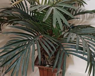 Silk Palm in Bamboo Planter