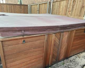 Hot tub with wood surround