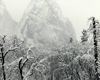 Lot # 117	$4,000.00 	BOB KOLBRENER (UNITED STATES B. 1953) SILVER GELATIN IMAGE OF SNOW STORM- EL CAP MEADOW, YOSEMITE NATIONAL PARK, CA 2001, SIGNED BY ARTIST AND NUMBERED 5/50	Sight height 27 in, width 24 in, Frame height 41 in, width 33 in. This silver gelatin print is signed and dated in pencil mount recto. Bob Kolbrener has been photographing the American West for over half a century and studied under Ansel Adams and assisted during the Yosemite workshops of the 1970s, Kolbrener still employs the same materials and techniques that Adams mastered.	Bid at Woodardlipe.com or call 314-899-0098 for more information.