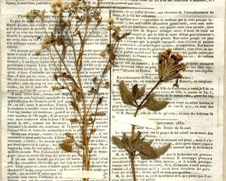 Lot # 55	$50.00	MIXED MEDIA OBJET D'ART JOURNAL (DU DEPARTEMENT DE LA SARTHE) AND DRIED FLOWERS SIGNED	Sight height 11 in., width 8 in., frame 14.5 in. height, width 11.5 in. Newly framed and matted in linen. Journal Lundi 6 Septembre 1830.	Bid at Woodardlipe.com or call 314-899-0098 for more information.