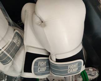 Boxing gloves