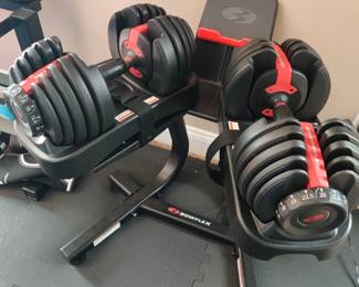 Bowflex Weight set