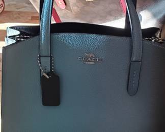 Pale blue Coach purse