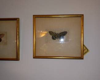 Items Located In The Dining Room