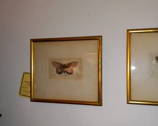 Items Located In The Dining Room