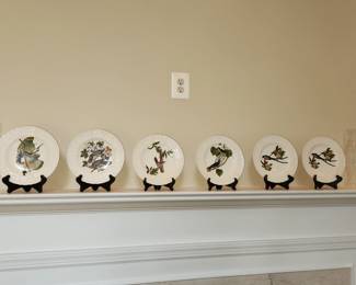 set of 6 Audubon bird plates