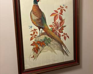 Vintage Ring Neck Pheasant Print by Roger Tory Peterson