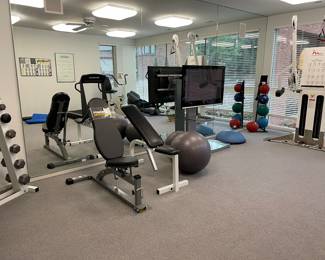 Powertec and Bodysmith benches, handweights with rack, medicine balls with rack, Bosu ball and more!