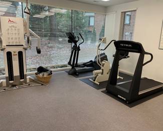View of the Freemotion dual cable cross weight system, Life Fitness 9500 elliptical, Theracycle, and TRUE 700 treadmill
