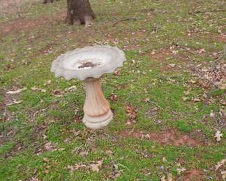 bird bath