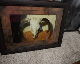 cow skull