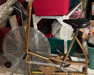 Schwinn Classic Air-Dyne Cardio Bike 