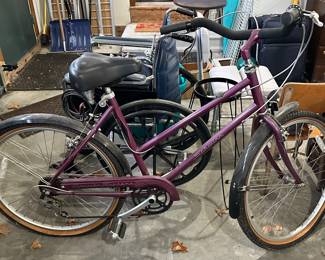 Schwinn Purple Bike