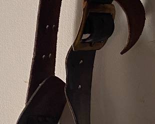 Gun Belt and Holster