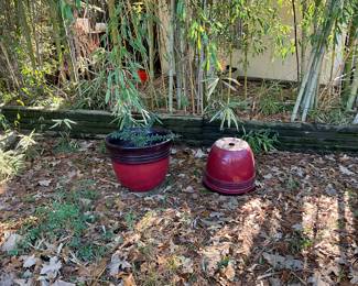 Patio area in back yard 